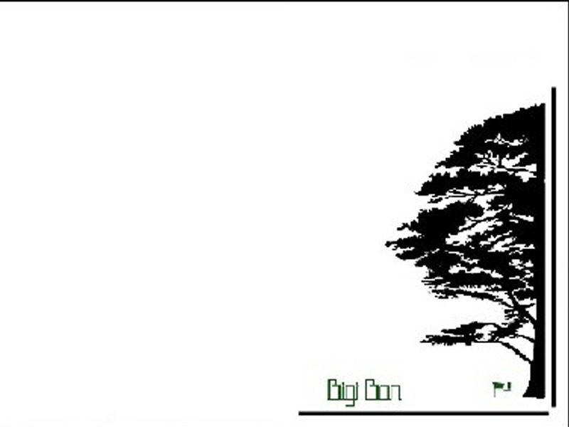 800x600 TREE